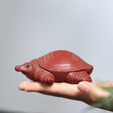 Softshell Turtle Tea Pet